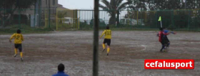 110226_realpa 230y_tn.jpg